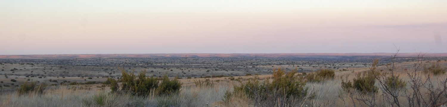 Shannon Ranch Realty Group